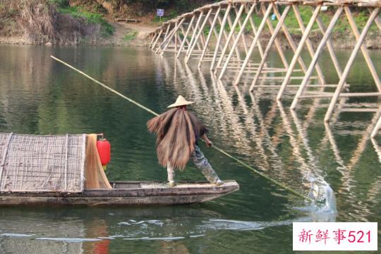 春光里的乡村游暖意融融