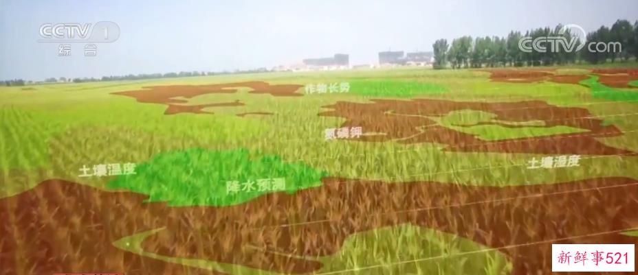 气象站立田头 农业气象观测网越织越密