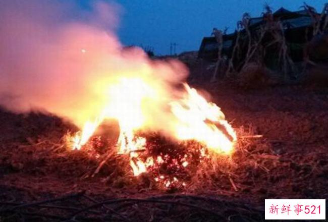 生命之火何时诞生？不同生命之火的人(六种)的性格特点是什么