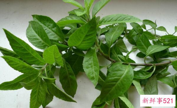 早餐前或早餐后运动 早餐前运动减肥-早餐后运动健康