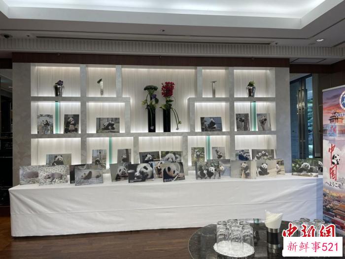 熊猫萌照展区 中国驻东京旅游办事处供图