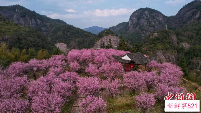 “梅园”一景 永嘉县委统战部 供图