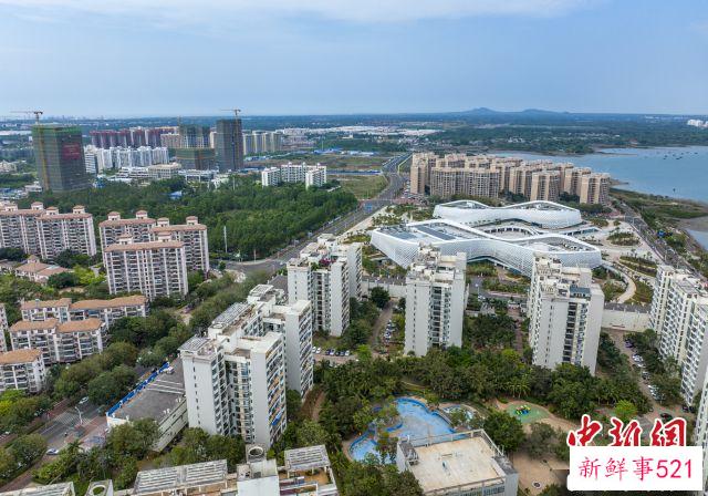 图为航拍洋浦生活区。　骆云飞 摄