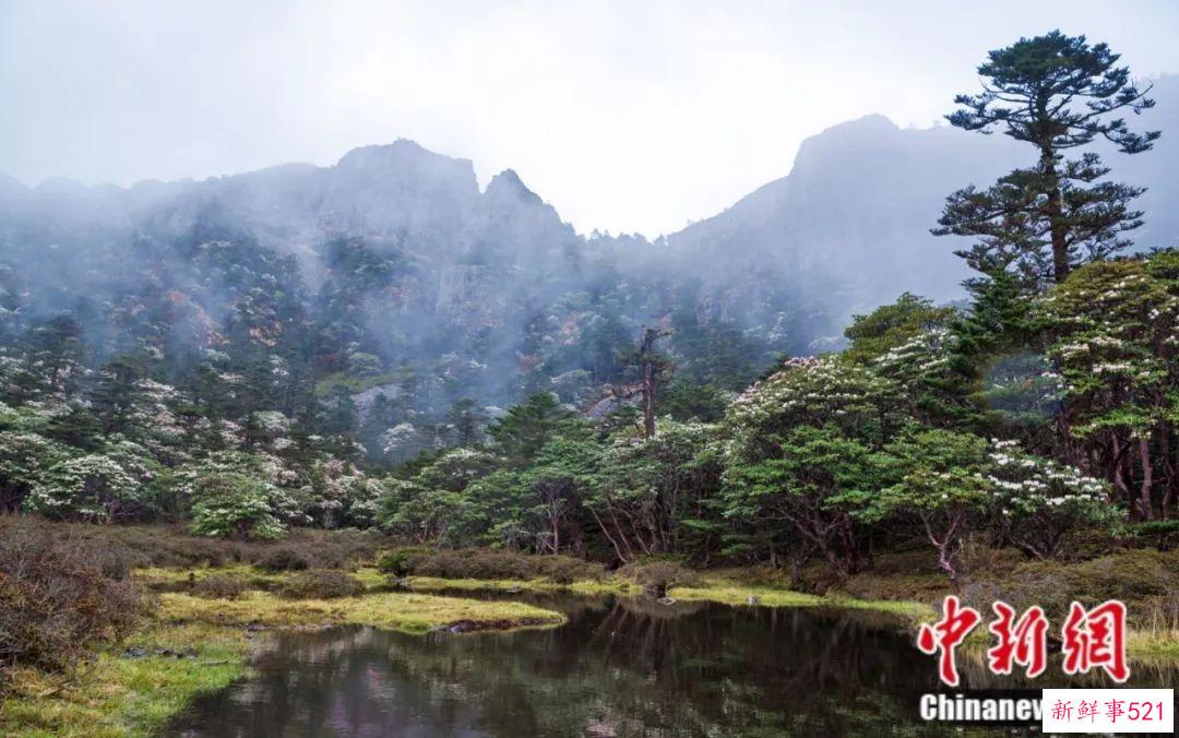人这一辈子，一定要去一趟剑川！