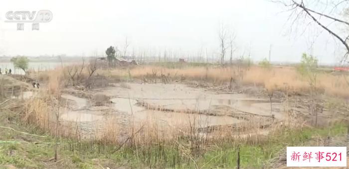 科学采取措施 三千余尾搁浅江鱼被成功放归长江