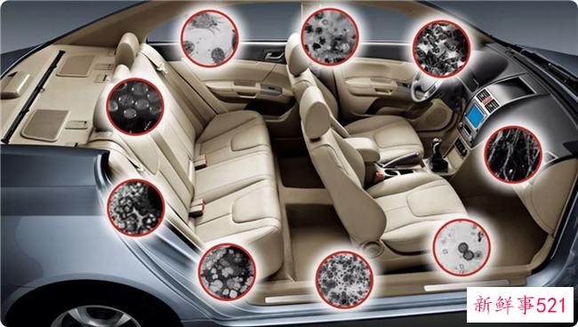 茶叶蛋能减肥吗？茶叶蛋没有减肥效果(可以吃减肥)