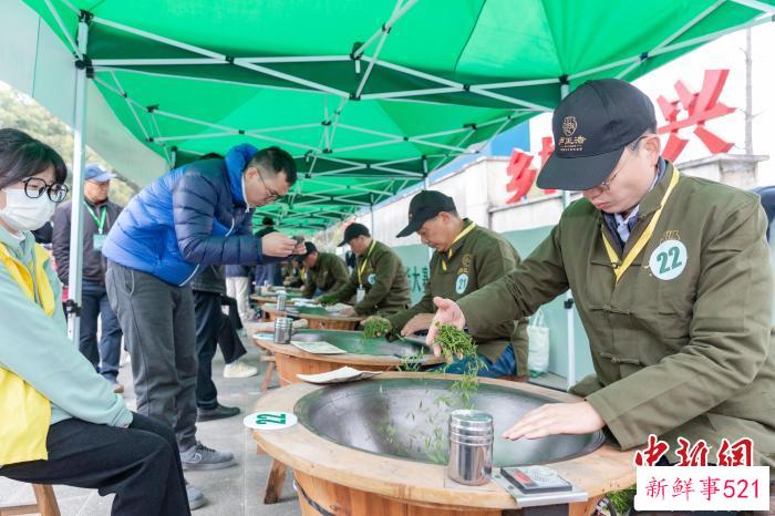 开茶节现场。　主办方供图