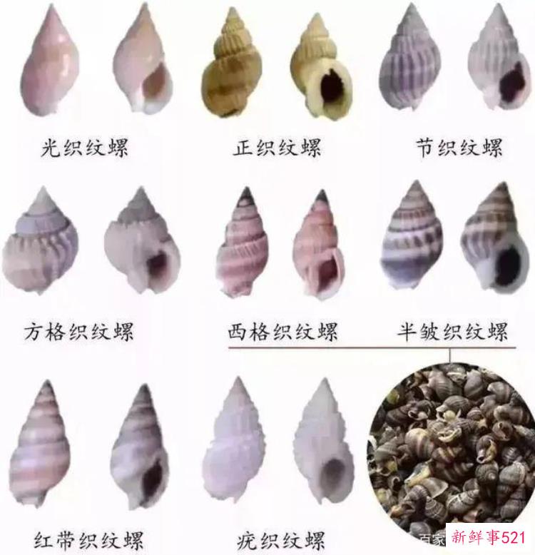有毒，可致命，无特效药，这种海鲜不能吃不能卖，不能吃的五种毒海鲜