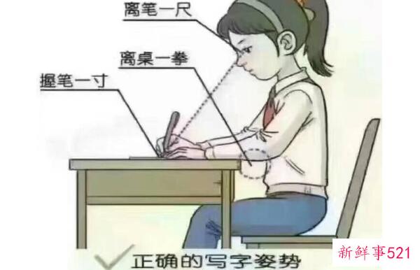 白菜和卷心菜的区别是外观、营养、功效不同