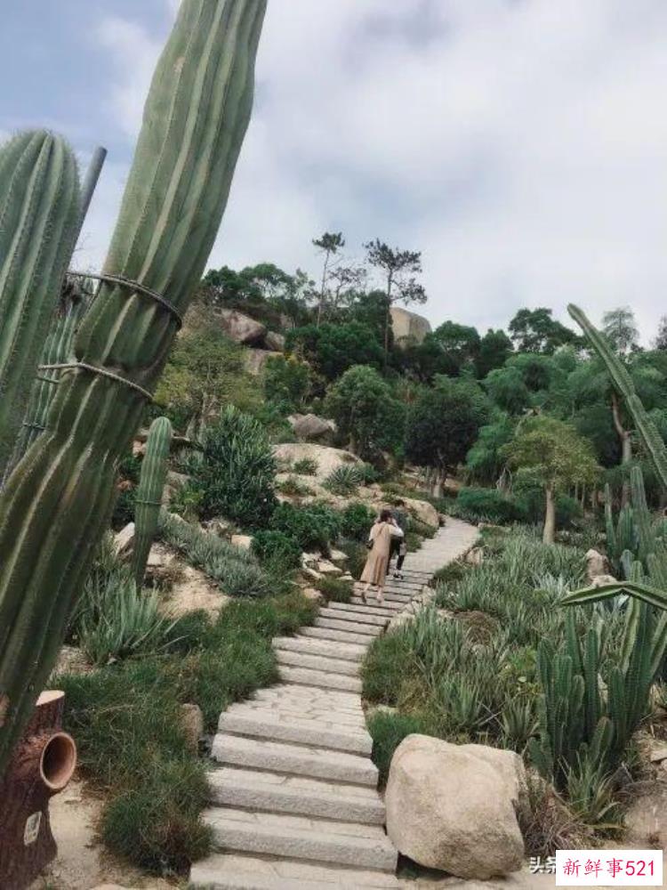 寻乌网红打卡地，超坑的网红景点