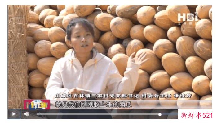 打工新鲜事儿｜24岁回村当选村长，火了！