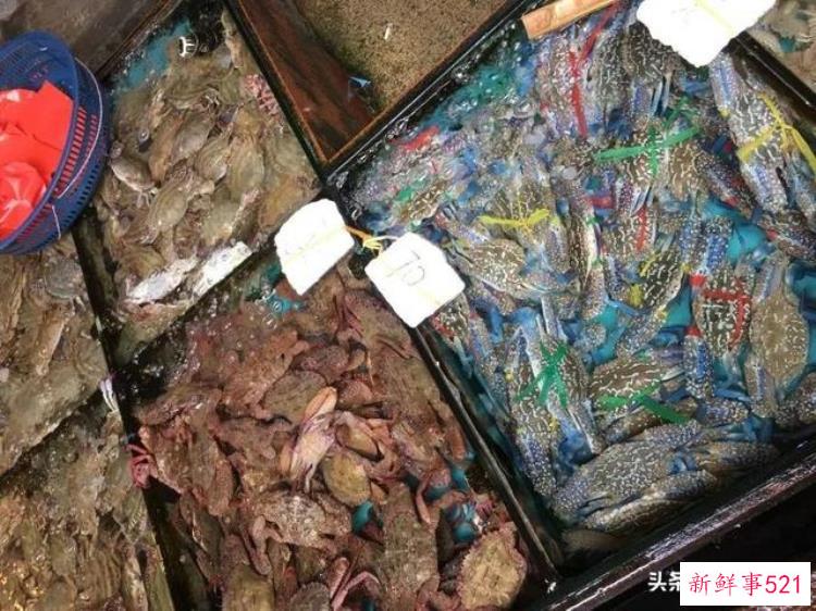 寻乌网红打卡地，超坑的网红景点