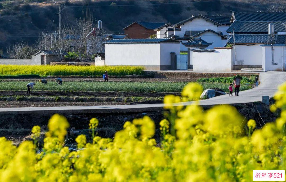 人这一辈子，一定要去一趟剑川！