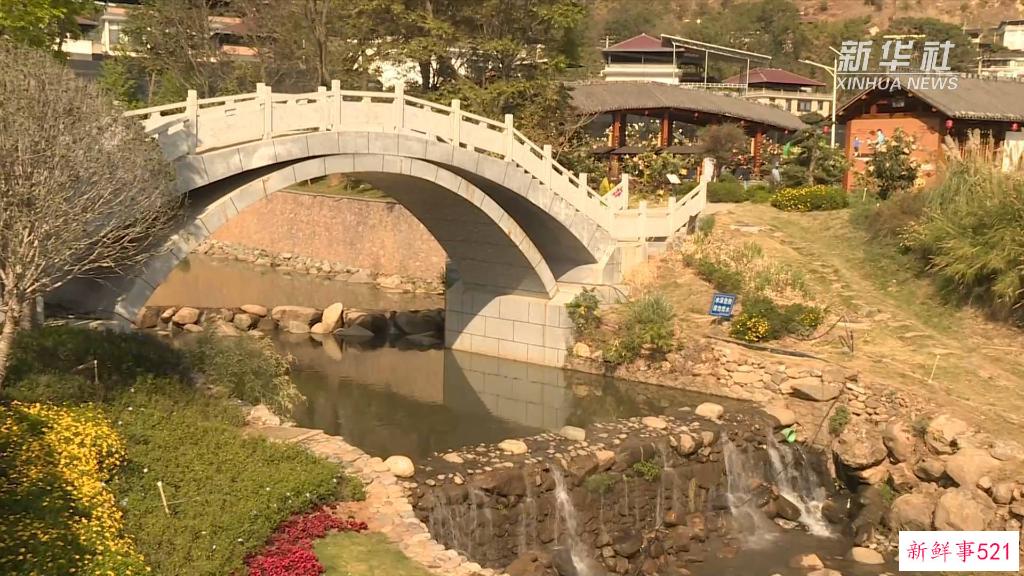 新华视点丨木棉花开“零碳村”