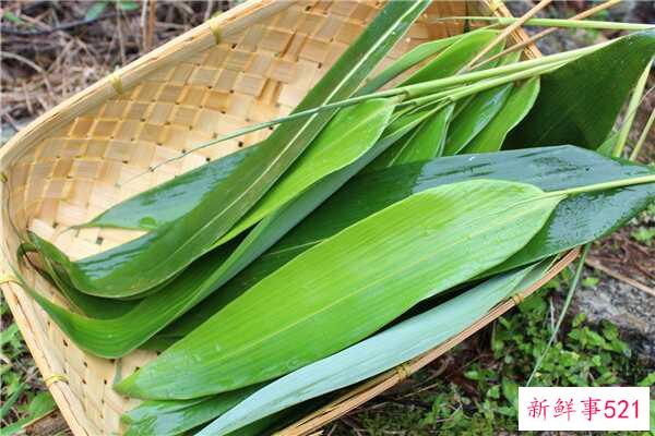 我应该把稻叶扔进哪个垃圾桶 干垃圾还是湿垃圾？