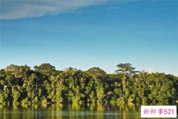 亚马逊森林是哪个国家的？没有准确的国家(范围很广)