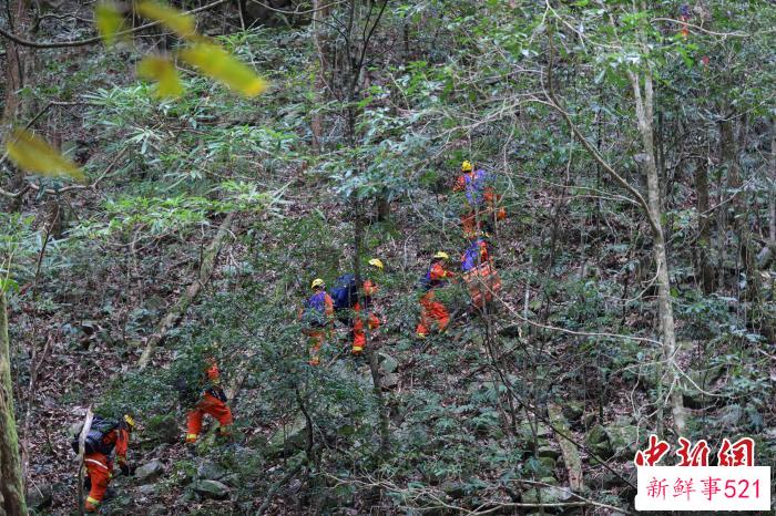 消防员在密林中寻找伤员。　李袁辉 摄