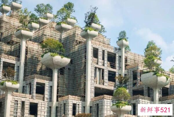 古代空中花园-世界奇迹之一 建于公元前6世纪