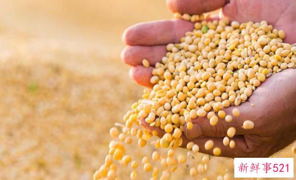 蚊子喜欢咬谁？呼吸急促、大量出汗、浓妆艳抹的人