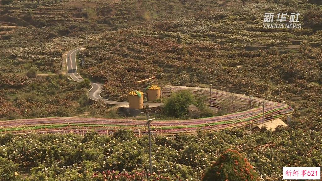 新华视点丨木棉花开“零碳村”