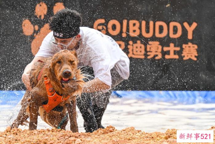 2023狗巴迪勇士赛首战鹏城打响 一人一犬共同挑战