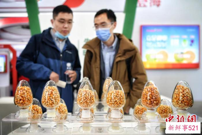 图为观众在种业博览会上参观。