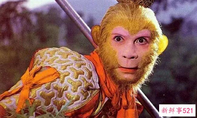 猫为什么会发出呼噜声？猫咪呼噜声是为了表达什么情绪？