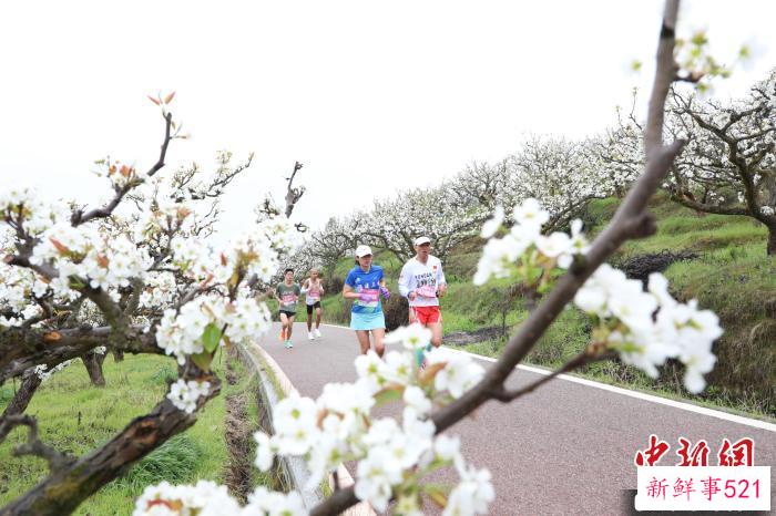 选手们徜徉在桃梨花海中激情奔跑。　建宁县融媒体中心供图