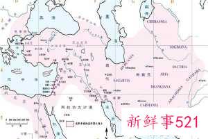 我应该把稻叶扔进哪个垃圾桶 干垃圾还是湿垃圾？