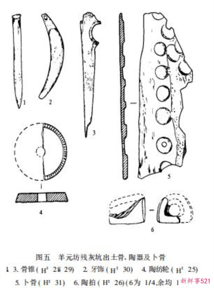dbf99b37dbffd020e66d7110b833a944.jpg