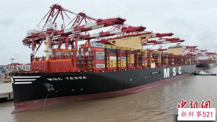 单船载箱量达24116标箱的利比里亚籍“地中海泰萨”轮靠泊洋山深水港三期码头。　洋山边检站供图