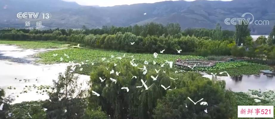 守护一泓清水 科学回收废旧农膜“变废为宝”