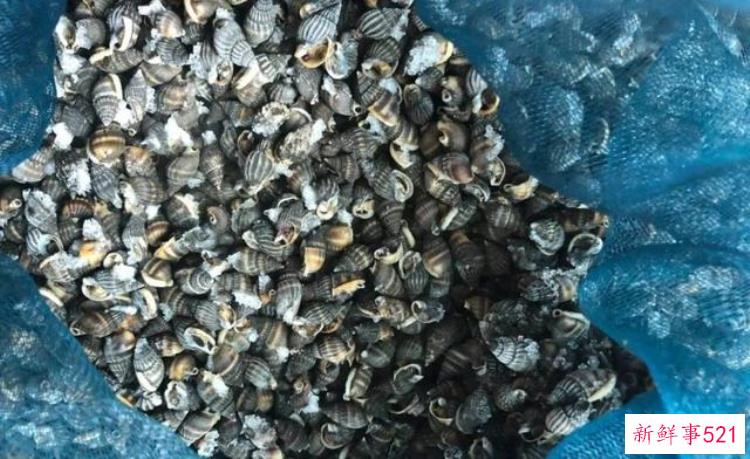 有毒，可致命，无特效药，这种海鲜不能吃不能卖，不能吃的五种毒海鲜