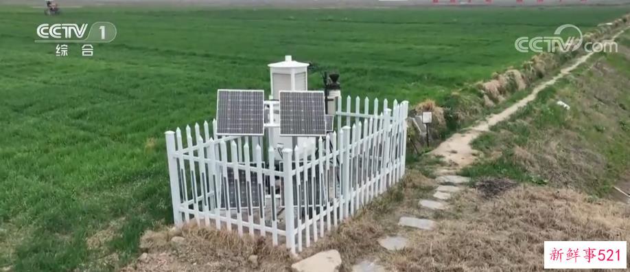 气象站立田头 农业气象观测网越织越密