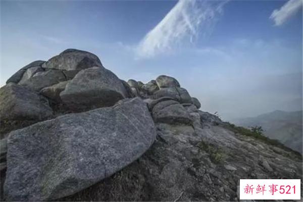 修水百灵镇为什么美女多？当地人喜欢喝菊花茶