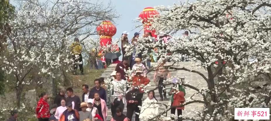 旅游市场“稳开高走持续回暖” 各地做好游客服务保障工作