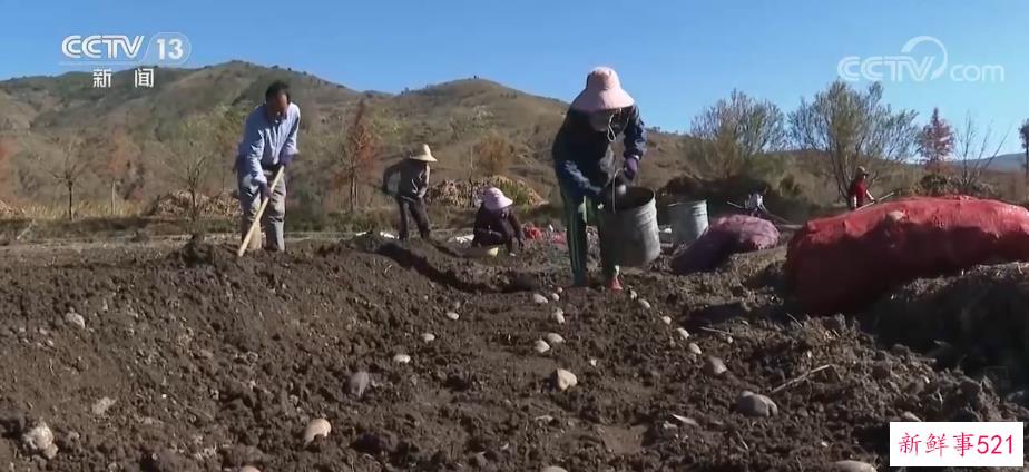 守护一泓清水 科学回收废旧农膜“变废为宝”