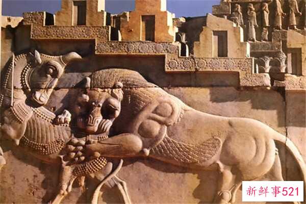 我应该把稻叶扔进哪个垃圾桶 干垃圾还是湿垃圾？