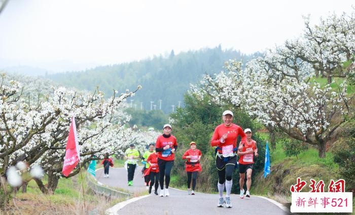 选手们徜徉在桃梨花海中激情奔跑。　建宁县融媒体中心供图