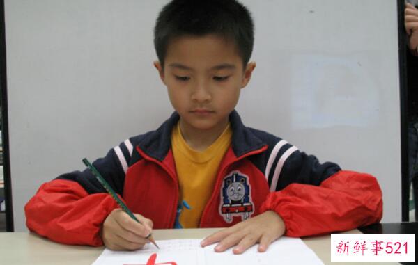 白菜和卷心菜的区别是外观、营养、功效不同