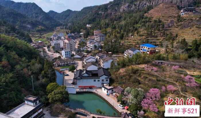 梅园村 永嘉县委统战部 供图