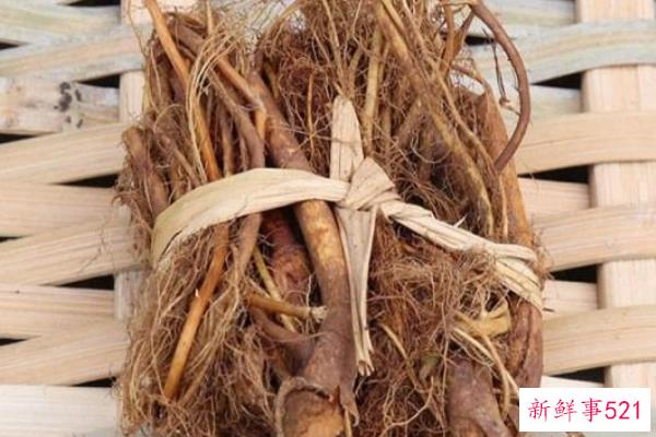 沈是道教的哪一派？