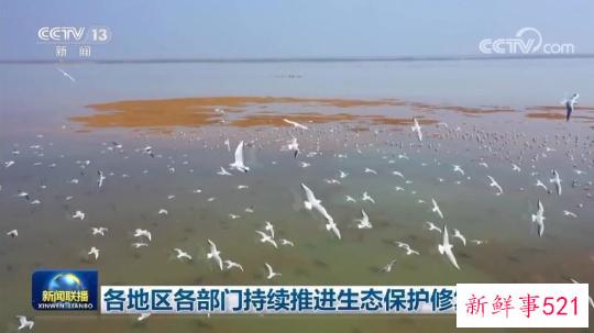 各地区各部门持续推进生态保护修复