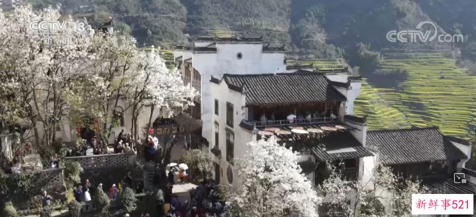 旅游市场“稳开高走持续回暖” 各地做好游客服务保障工作