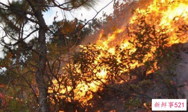 生命之火何时诞生？不同生命之火的人(六种)的性格特点是什么