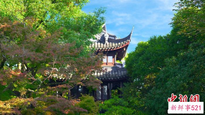 16.36平方公里的区域既是拥有百年老城厢历史记忆的老城区，也是青浦新城快速发展的新城区。　盈浦街道供图