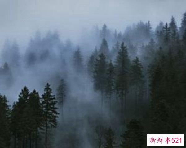 做梦是现实的先兆吗？启示者最常做的10个噩梦(附分析)