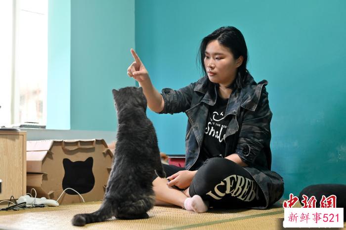 其家中的宠物猫也成了崔静宜的训练对象。　俞靖 摄