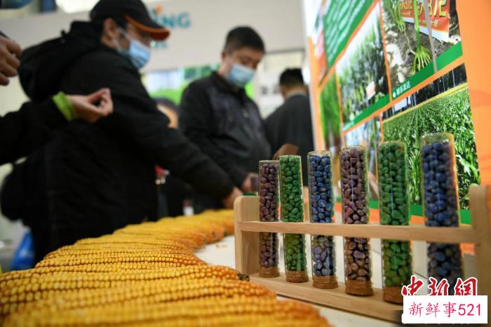 图为观众在种业博览会上参观。　佟郁 摄 摄