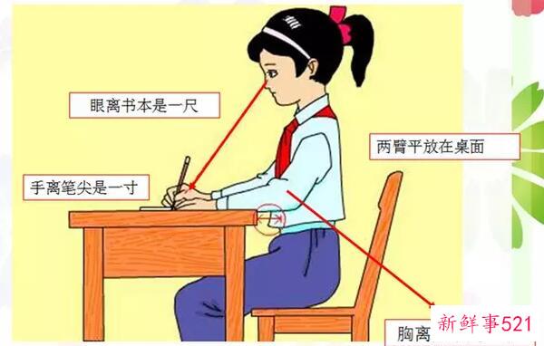 白菜和卷心菜的区别是外观、营养、功效不同